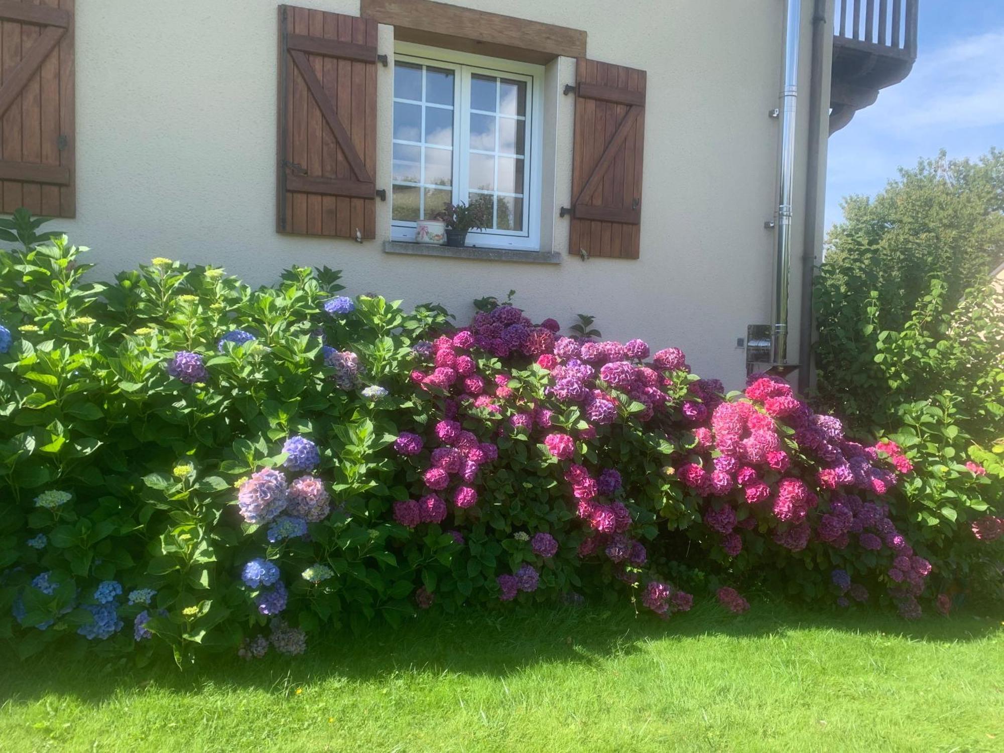 Chambres D'Hotes Le Bignon Dans Les Alpes Mancelles Villaines-la-Juhel ภายนอก รูปภาพ