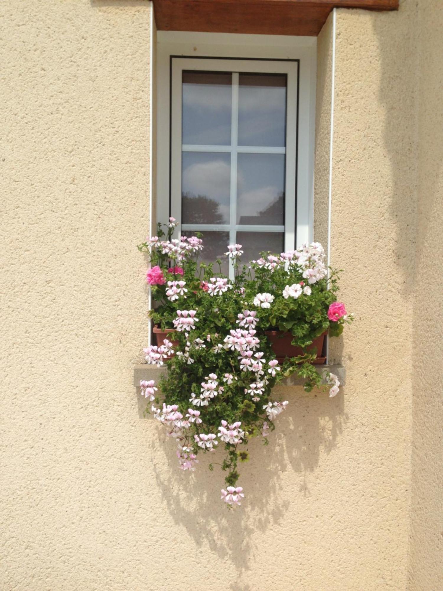 Chambres D'Hotes Le Bignon Dans Les Alpes Mancelles Villaines-la-Juhel ภายนอก รูปภาพ